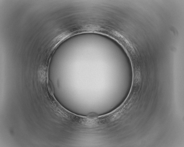 X0000115631361200912081035