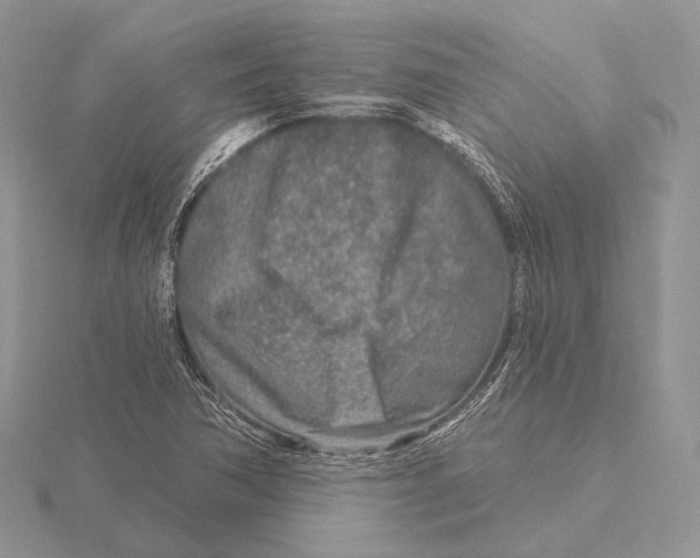 X0000115631362200912081035