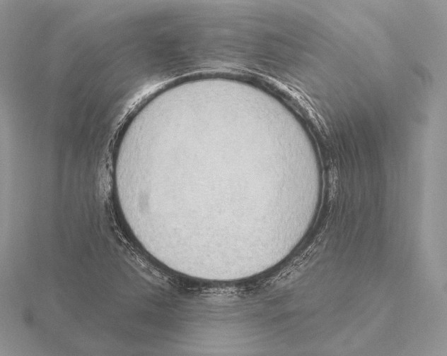 X0000115631363200912081035