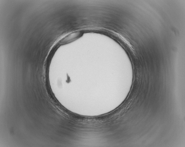 X0000115631364200912081035