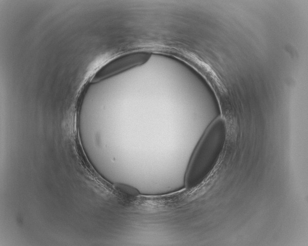 X0000115631365200912081035