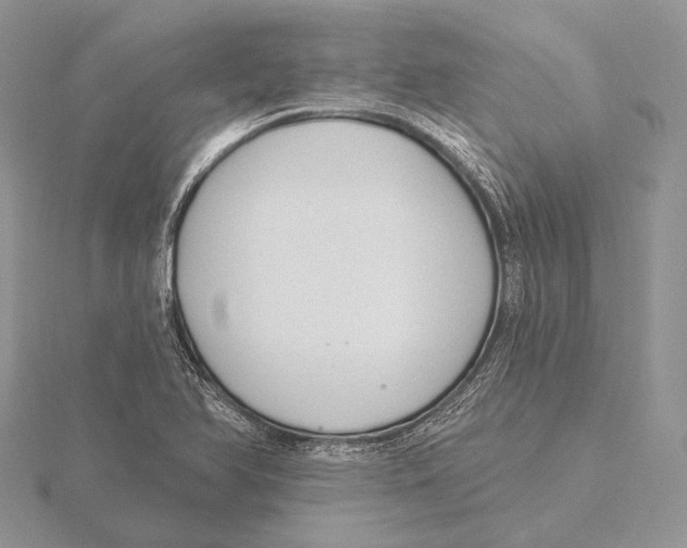 X0000115631366200912081035