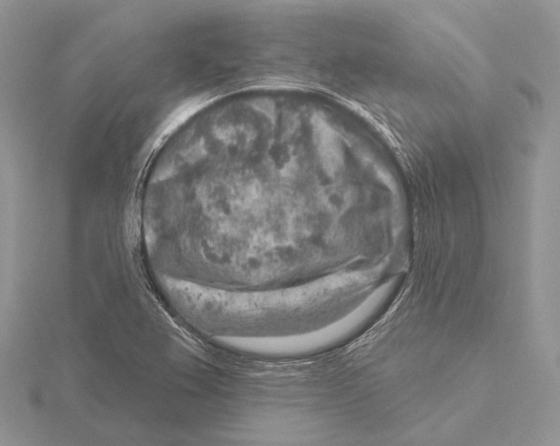 X0000115631367200912081035