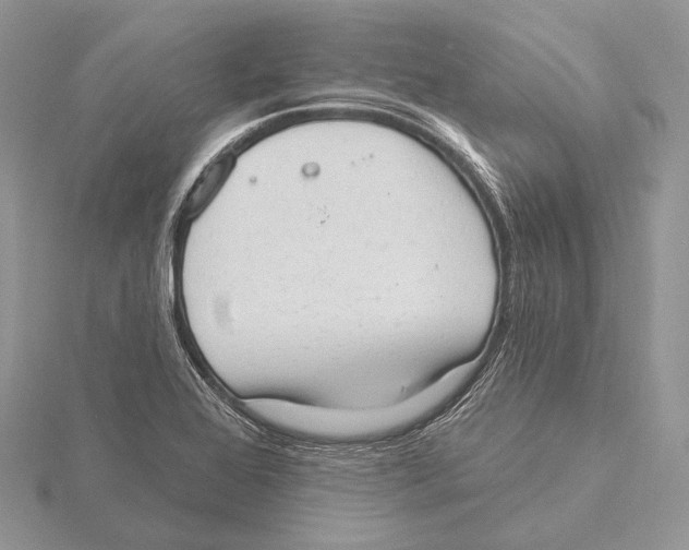 X0000115631368200912081035