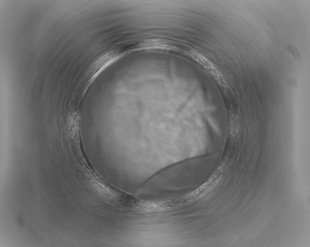 X0000115631369200912081035