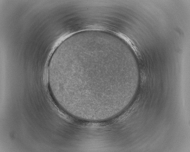 X0000115631371200912081035