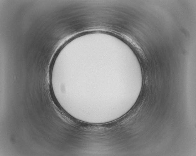 X0000115631372200912081035