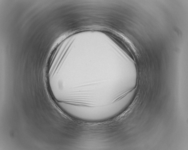 X0000115631373200912081034