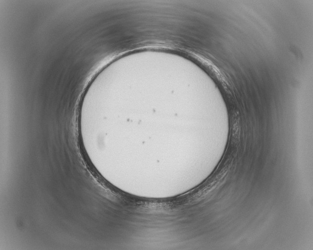 X0000115631375200912081034