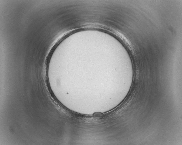 X0000115631376200912081034