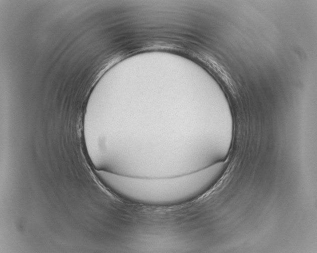 X0000115631377200912081034