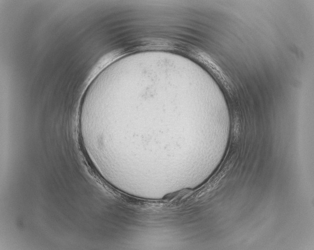 X0000115631378200912081034