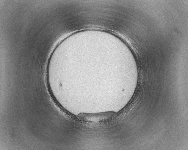 X0000115631379200912081034