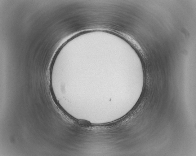 X0000115631380200912081034