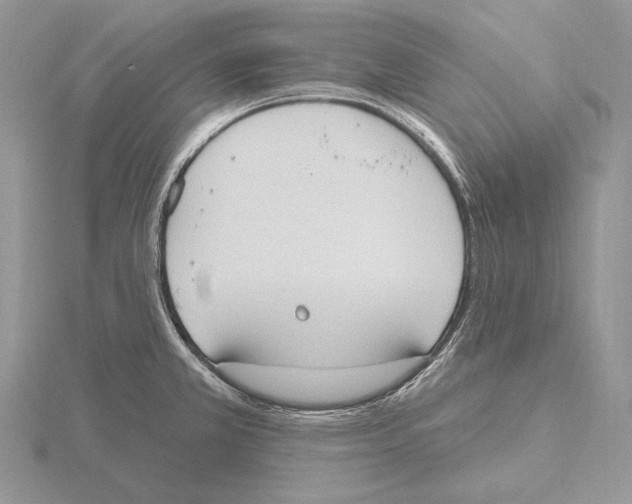 X0000115631381200912081034