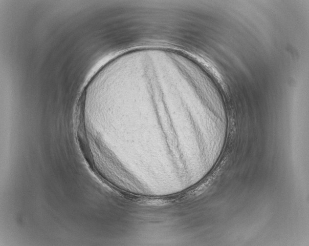 X0000115631382200912081034