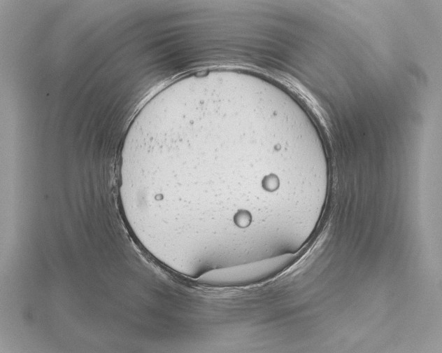 X0000115631385200912081034