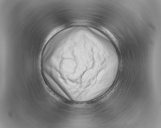 X0000115631386200912081034