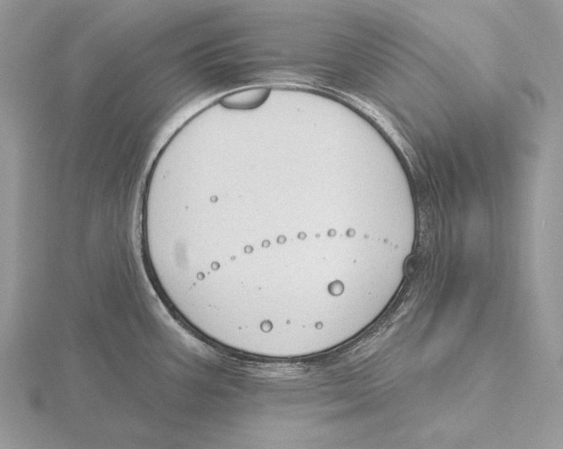 X0000115631387200912081034