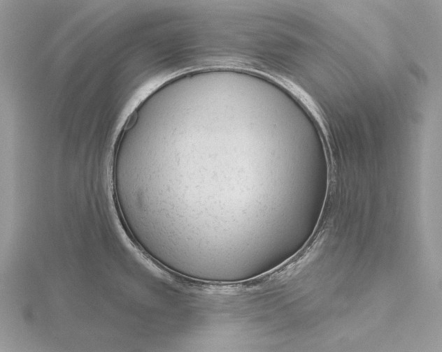 X0000115631389200912081034