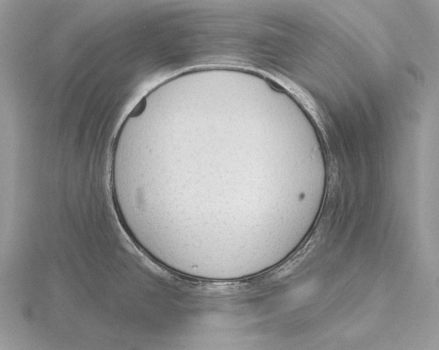 X0000115631390200912081034