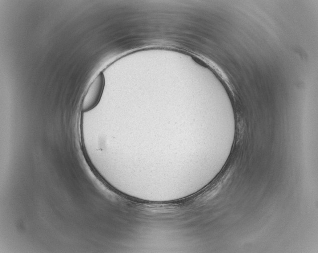 X0000115631391200912081034