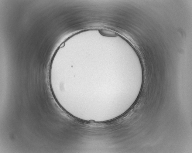 X0000115631392200912081034