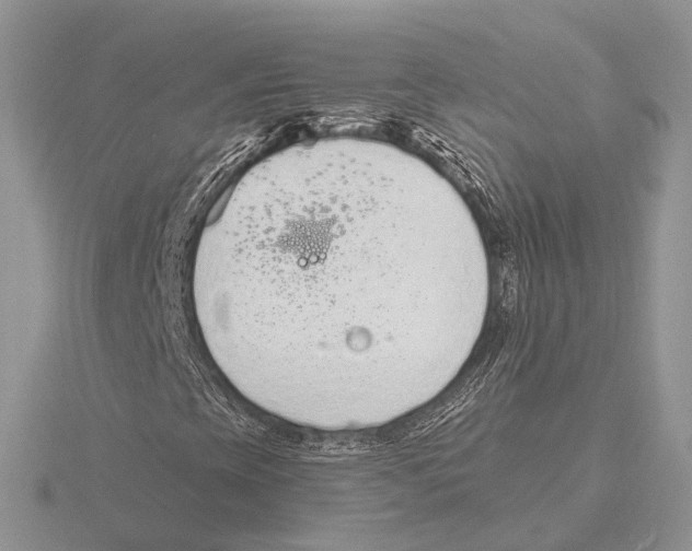 X0000115631393200912081034