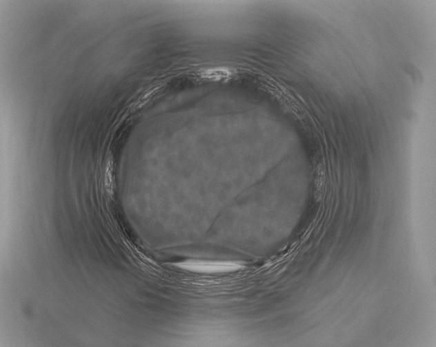 X0000115631394200912081034