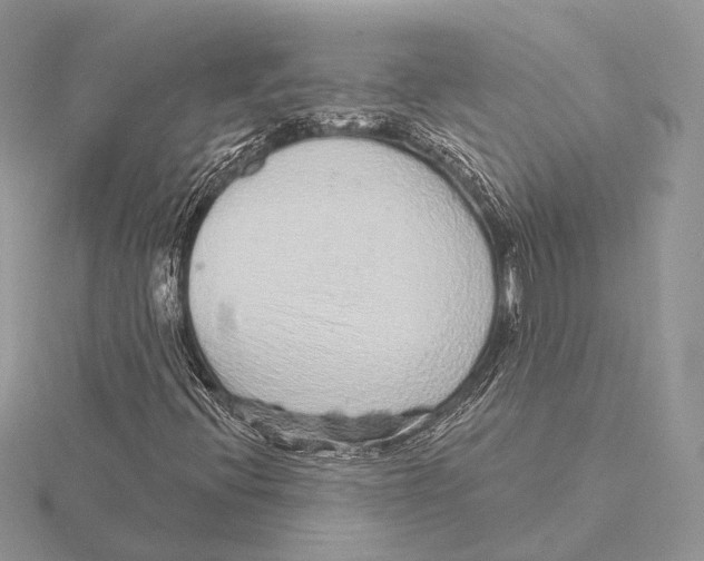 X0000115631396200912081034