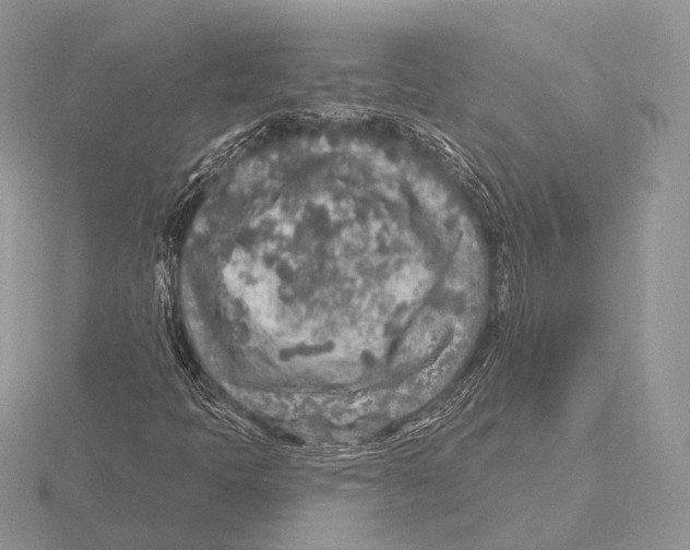 X0000115631397200912081034