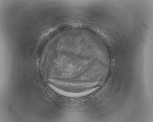 X0000115631398200912081034