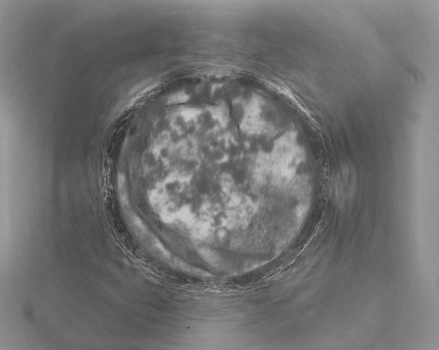 X0000115631399200912081034