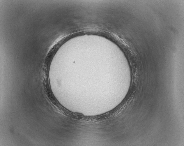 X0000115631400200912081034