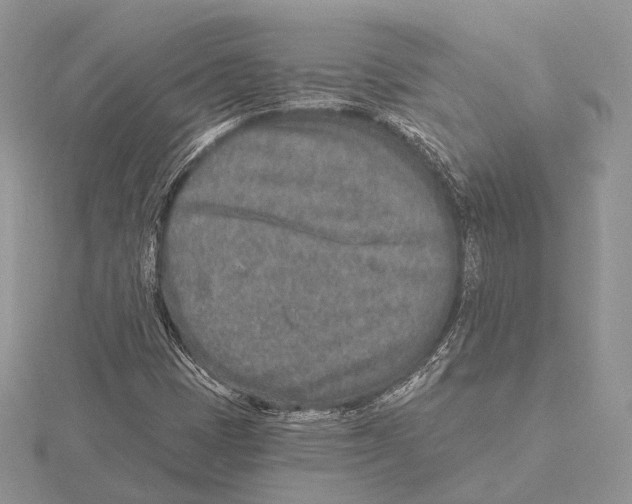 X0000115631401200912081034