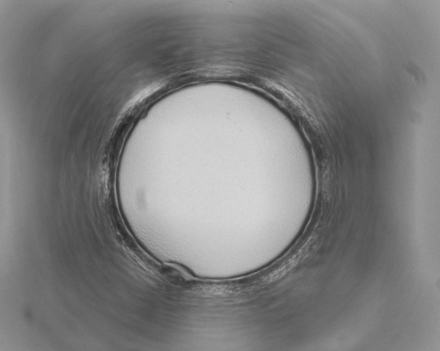 X0000115631402200912081034