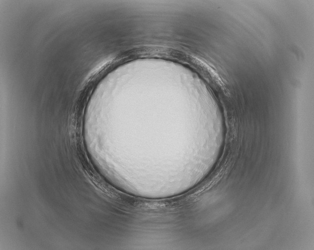 X0000115631403200912081034