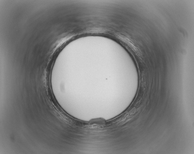 X0000115631404200912081034