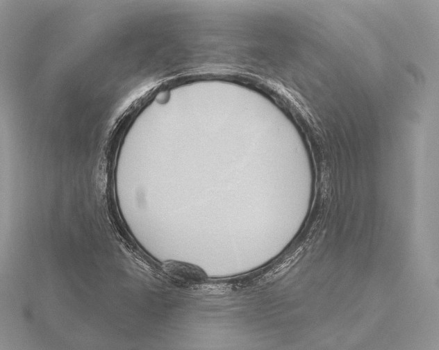 X0000115631406200912081034