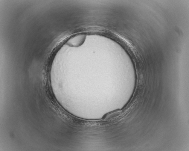 X0000115631407200912081034