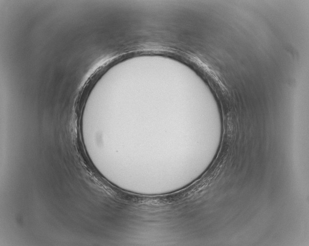 X0000115631408200912081034