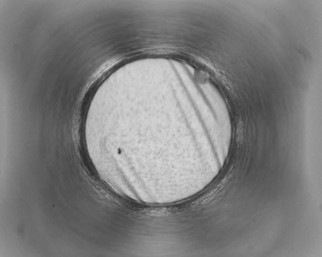 X0000115631410200912081034