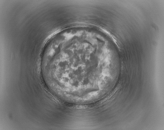 X0000115631411200912081034