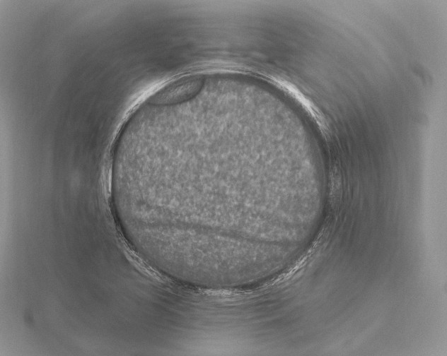 X0000115631413200912081034