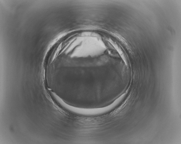 X0000115631414200912081034