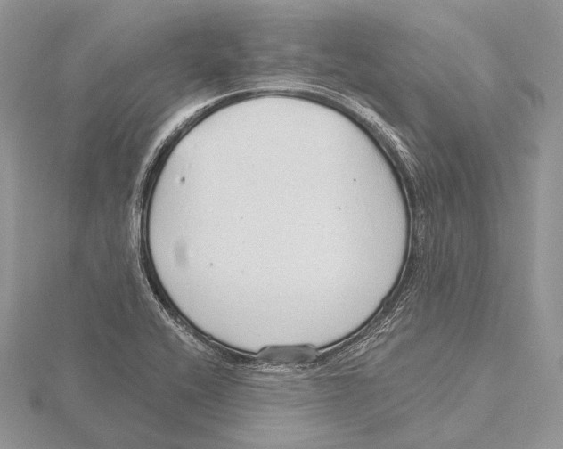 X0000115631416200912081034