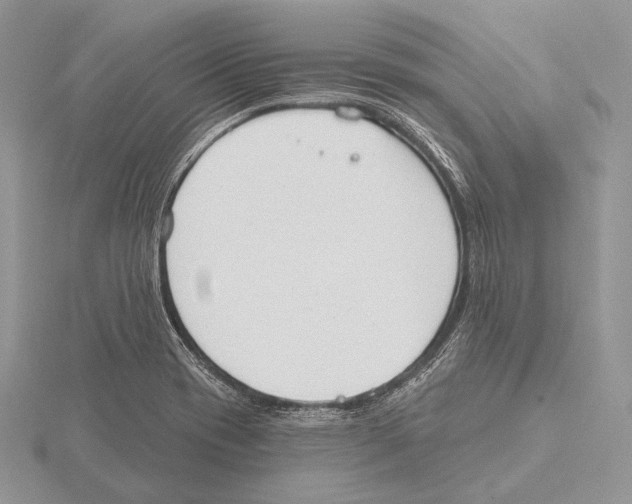 X0000115631417200912081034