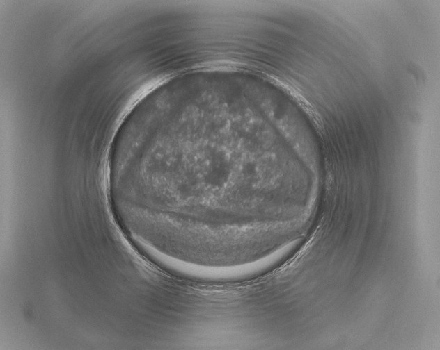 X0000115631418200912081034