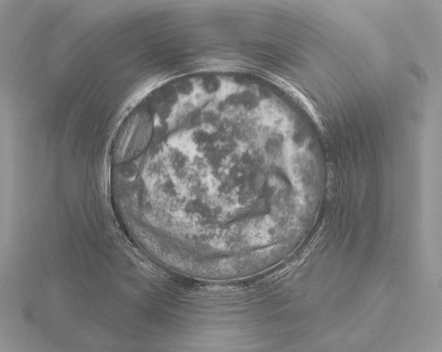 X0000115631419200912081034