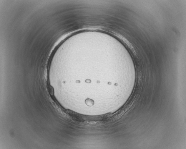 X0000115631420200912081034